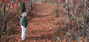 Solitary man in landscape of bare trees and fallen leaves on the Northern land detachments route, Pea Ridge National Military Park, Arkansas