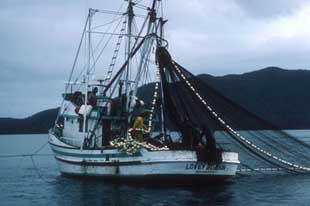 Salmon purse seine vessel