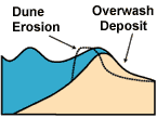 cartoon illustration of overwash regime