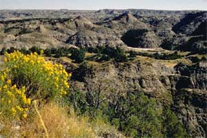 photo of Theodore Roosevelt National Park, North Dakota 