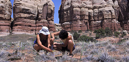 photo: Collecting soil samples in the Needles District