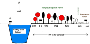 illustration of study area