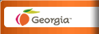 link to the Georgia.gov website 