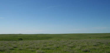 View of the prairie