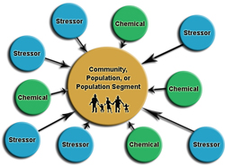 Click image for larger view. From: “Population-based assessments start with the receptors…” of the EPA Framework for Cumulative Risk Assessment document (pdf) found on the EPA Risk Assessment Forum Web site.  Online at: http://cfpub.epa.gov/ncea/raf/recordisplay.cfm?deid=54944