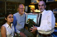 Photo of Rocio Diaz de la Garza, Jesse Gregory and Andrew Hanson, University of Florida.