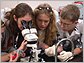 Students using a microscope