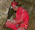 Photo of Jennifer Macalady collecting microbial samples in the Frasassi cave system.