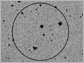 gamma-ray burst GRB021004