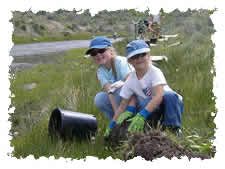 Children planting trees