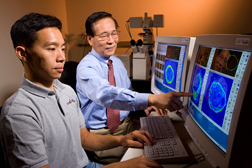 Photo: Two researchers are analyzing images of proteins on computer screens. Link to photo information