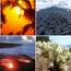 Collage of photos from National Parks including sunset, cactus, lava flow, mountain.