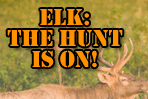 Learn more about the elk hunt at tnelkhunt.org