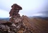 Tor along Pinnell Mountain Trail in the Steese NCA