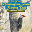 Birding Trail Logo