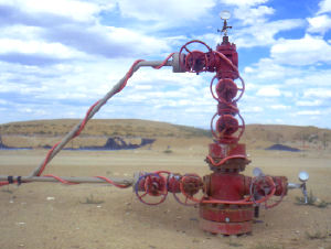 Fig. 2. Wellhead