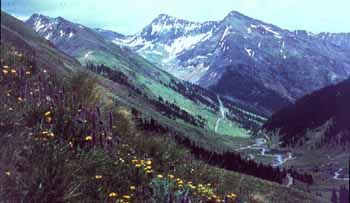 Photo of Upper Animas River and Niagara Peak