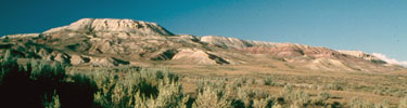 Fossil Butte