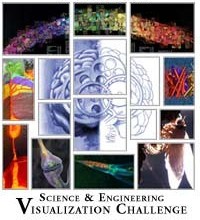 collage of various scientific images with the words "Science & Engineering Visualization Challenge"