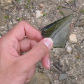 Arrowhead glass found in Silver City, Idaho