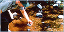 A ranger taking a sample of water from a creek