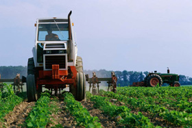 Machine applying chemicals to crops