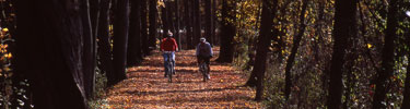 Autumn on the Towpath Trail. Photo by Tom Jones.