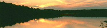 The yellows of a setting sun are reflected on the water divided by a a dark shoreline