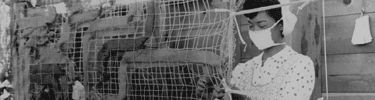 Making camouflage nets, one of the jobs available in camp. Photo by Dorothea Lange.