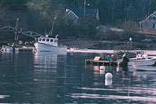 taken by Steve Delany, Casco Bay, ME, October 1999