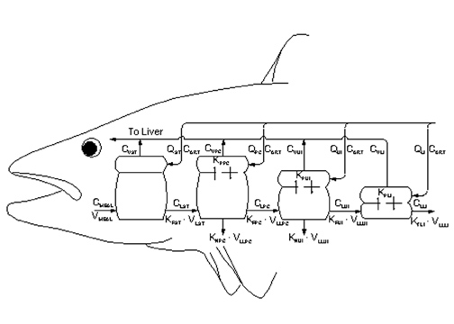 Predictive Toxicology and Modeling