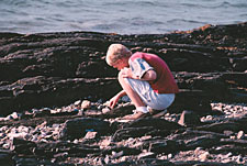 taken by Steve Delany, Casco Bay, Me, October 1999