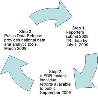 TRI Bussiness Cycle 2009