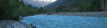 Hoh River