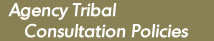 Agency Tribal Consultation Policies