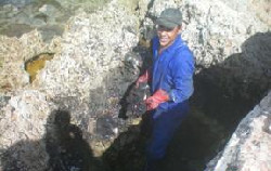 Time-consuming manual methods of cleanup were inevitable in some locations. Photo show the manual removal of dried fuel tar pieces (Deir El Natour)