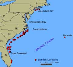 Locations in the Atlantic Ocean where lionfish have been reported 