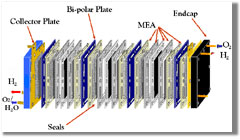 hydrogen fuel cells convert hydrogen and oxygen 