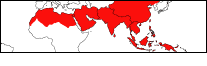 Map of Asia and the Near East