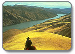 Along Snake River at Kniesel, a rancher viewing vast stands of medusahead. (photographer: Jerry Asher)