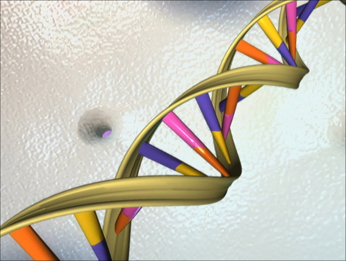 Image of DNA double helix