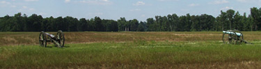 Two green Union cannons atop the Malvern Hill battlefield.