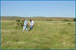 photo of restored grassland