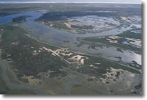 Matagorda Island marshes