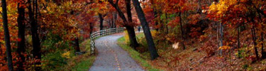 Blackstone Bikeway in fall