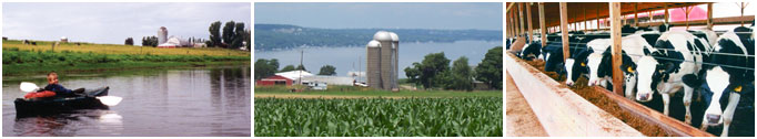 Farms provide the scenic views and rural quality of life valued by residents and tourists alike, Lake Champlain Basin Program; Well managed farms protect the water quality of Canandaigua Lake, which provides drinking water for over 50,000 people, NYSSWCC; Cows, NYSSWCC.