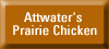 button with link to Attwater's Prairie Chicken page