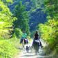 Horseback riders on the Sacramento River Rail Trail