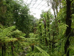 The Zurich Zoo’s Masoala Hall, which exhibits Malagasy flora and fauna, hosted an event where Malagasy farmers promoted the red rice they produce using environmentally sustainable techniques.