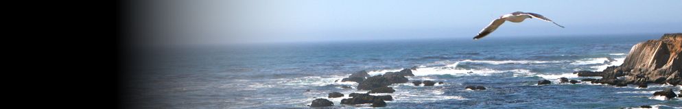 A seagull flies over the California Coastal National Monument which stretches along the entire coast of California and extends 12 miles into the Pacific Ocean.  The Monument includes 20,000 rocks, islands, pinnacles and reefs.